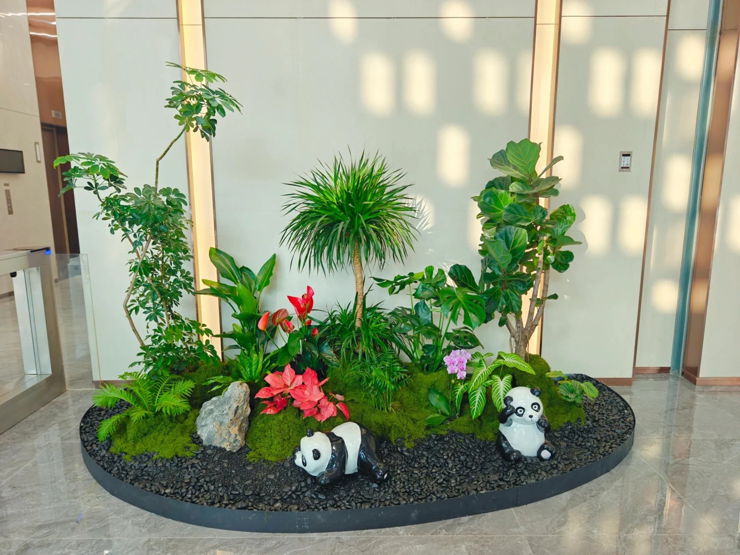 体验慈溪花木租摆，优质服务，让绿植焕发生机！